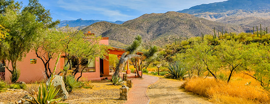 MISA-West-Tanque-Verde-Ranch-Arizona